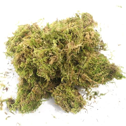 Lonwiner 100g Premium Sphagnum Moos, Spagnummoos für Pflanzen Schildkrötensubstrat Stratum Substrat Pflanzen Moos für Orchideen von Lonwiner