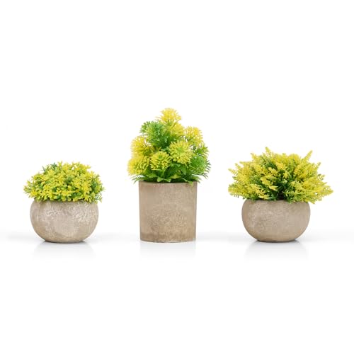 Lonxio 3 Stück Künstliche Pflanzen - Kunstpflanze klein mit Topf Indoor Fake Plant für Schlafzimmer Badezimmer Büro Zimmer Zuhause Innen Deko (Green C) von Lonxio