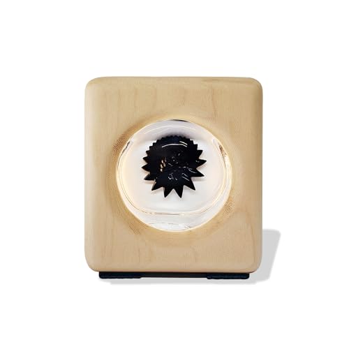 Lonyiabbi Ferrofluid Sound Visualizer – Handgefertigte magnetische Rhythmuslampe aus Walnussholz, audio-reaktives Sci-Fi-Dekor, USB-betriebenes Geschenk für Musikliebhaber (Weißes Ahornholz) von Lonyiabbi