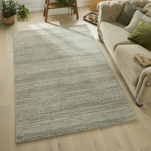 Lord of Rugs Somerset Teppich, moderner, traditioneller, weicher Plüschflorteppich für Wohnzimmer, Schlafzimmer, Flur, leicht zu reinigende Fläche (SOM101Salbeigrün, 120 x 170 cm) von Lord of Rugs