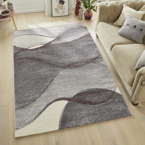 Lord of Rugs Somerset Teppich, moderner, traditioneller, weicher Plüschflorteppich für Wohnzimmer, Schlafzimmer, Flur, leicht zu reinigende Fläche (SOM103 Pflaume, 120 x 170 cm) von Lord of Rugs