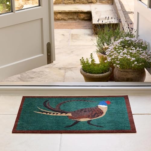 Lord of Rugs Waschbare Antirutschmatte für Eingangsbereich, Flur, Läufer, Bad oder Küche, leicht zu reinigen, langlebig, saugfähig, schmutzabweisend, Schleimmatte, Fasangrün, 50 x 75 cm von Lord of Rugs