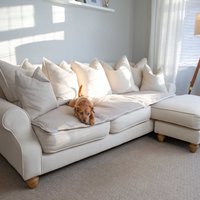 Luxus Savanna Sofa Topper, Hunde Bezug - 2, 3 Und 4 Sitzer Couch Schutz in Atemberaubenden Farben | Die Perfekte Haustiermöbel-Abdeckung von LordsandLabradors