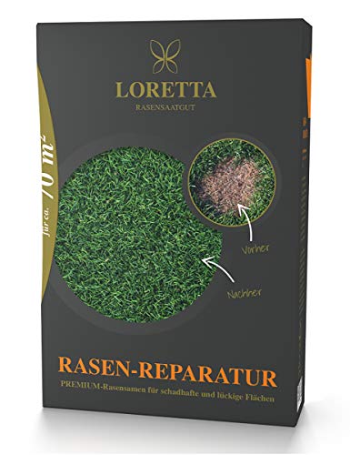 Loretta Rasen Reparatur hochwertige Rasenmischung Premiumnachsaat mit Mantelsaat 1,1kg für ca 70m² von Loretta