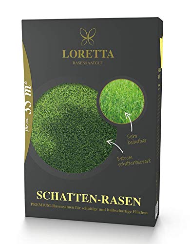 Loretta Schatten-Rasen Premiumrasensaat mit poa supina 0,6kg für ca 35m² von Loretta