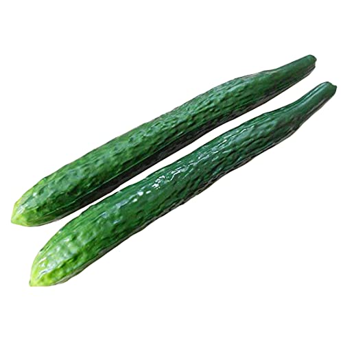 Lorigun 2 Stücke Künstliche Gurken Simulation Gefälschte Gemüse Foto Requisiten Home Decoration von Lorigun