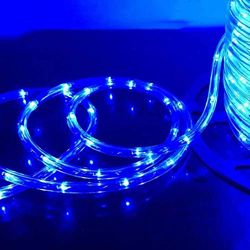 Lospitch 10m LED Lichtschlauch Innen und Außen, 240 LED Schlauch IP20 Lichterschlauch, Schwarz Controller mit Memory-Funktion für Deko, Party, Hochzeit, Garten, Blau von Lospitch