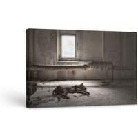 Lost Places Leinwand 30x20 cm "Dog Days Are Over" By Peter Untermaierhofer von LostPlacesShop