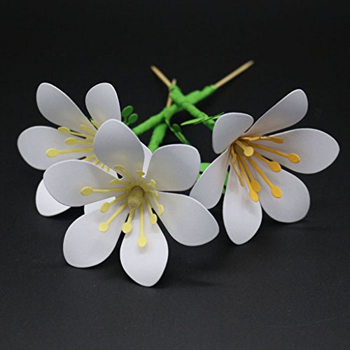 Plumeria Metall-Stanzformen, Stanzformen für Kartenherstellung, Prägeschablonen für Scrapbooking, DIY Alben, Papierkarten, Dekoration von Lottoyday