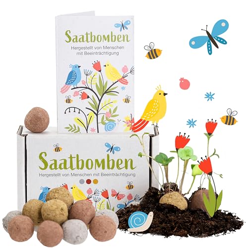 LouMaxx 15er Pack handgemachte Saatbomben, Samenbomben Geschenk, Blumensamen als Gastgeschenk, nachhaltige Samen Kinder Mitgebsel, ökologische Pflanzkugeln mit über 50 Arten Blumen & Kräutern von LouMaxx