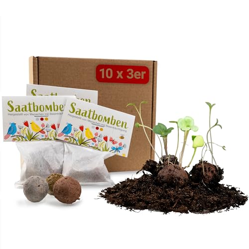 LouMaxx Set aus 10x3 handgemachten Saatbomben, Samenbomben Geschenk, Blumensamen als Gastgeschenk, nachhaltige Samen Kinder Mitgebsel, ökol. Pflanzkugeln mit über 50 Arten Blumensamen von LouMaxx