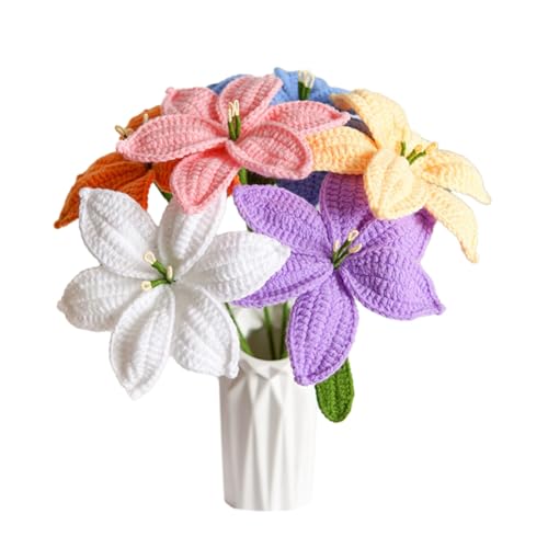 Loufy 6 Stück handgestrickte Lilien-Tulpen-, gehäkelte Blumen, künstlicher Blumenstrauß, wie abgebildet, Garn, hausgemachte Schreibtisch-Dekoration, Geschenk Loufy 6 Stück handgestrickte Lilien-Tulpen-, gehäkelte Blumen, künstlicher Blumenstrauß, wie abgebildet, Garn, hausgemachte Schreibtisch-Dekoration, Geschenk von Loufy