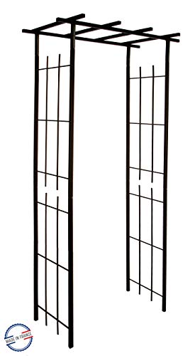 Louis Moulin Pergola Schmales Vierkantrohr für Kletterpflanzen, Eisen, antik, 97 x 40 x 198 cm, 3046 von Louis Moulin
