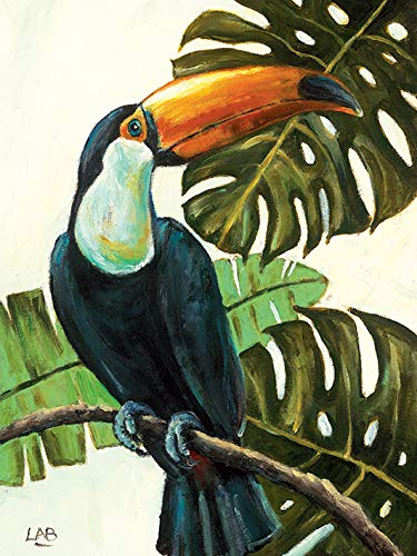 Louise Brown Tropical Toucan 30 x 40cm Canvas Print Leinwanddruck, Mehrfarbig, 30 x 40 cm von Louise Brown