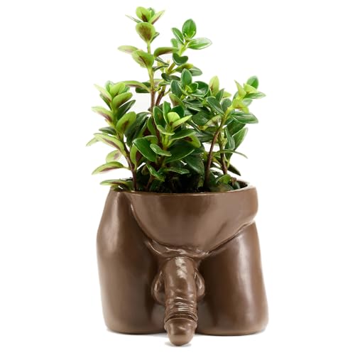 Lourich Lustiger Übertopf Körper-Pflanzgefäß, Kunstharz-Pflanzgefäß, Körperförmige Vase, einzigartige lustige Blumentöpfe, Indoor-Körperkunst-Vase, Töpfe für Zimmerpflanzen, Vase für Sukkulenten und von Lourich