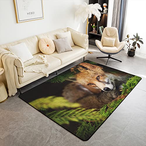 Fuchs Weich Teppich 150x200cm Wohnzimmer Teppich für Küche und Balkon Kinder 3D Woldland Fuchs Modern Teppich Indoor Home Wetterfest Dekor Eintrag Teppich Mattes Front Teppich Innenmatte zurück Fuchs Weich Teppich 150x200cm Wohnzimmer Teppich für Küche und Balkon Kinder 3D Woldland Fuchs Modern Teppich Indoor Home Wetterfest Dekor Eintrag Teppich Mattes Front Teppich Innenmatte zurück von Loussiesd