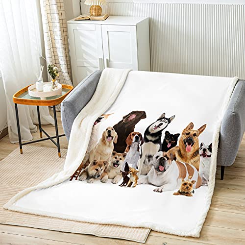 Kinder Decke 75x100cm Süß Hund Muster Kuscheldecke Microfaser für Jungen Mädchen Wohndecke Tier Haustiere Flanell Fleecedecke Weißh Atmungsaktiv von Loussiesd