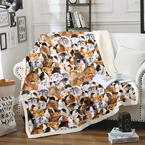 Kinder Meerschweinchen Wohndecke 150x200cm Kinder Niedlich Cavy Muster Lustig Kuscheldecke Für Jungen Mädchen Kleinkind Dekor 3D Schönes Haustier Tier Thema Flanell Fleecedecke von Loussiesd