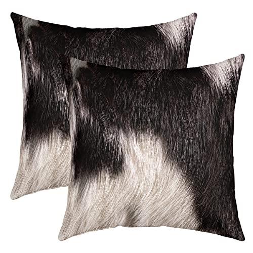 Kuhfell Kissenbezüge 40x40cm Quadratisches Kuhfell Gedruckt Dekokissen Dekor Kissenhülle 2er Set Kissenbezüge Bauernhaus Western Bauernhof Tier Haut Braun Weiß Kissenbezug Sofakissen Couchkissen von Loussiesd