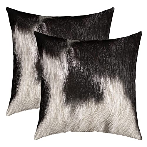 Kuhfell Kissenbezüge 45x45cm 2er Set Kissenbezüge Weiche Schwarz Weiß Tierhaut Kissenbezug Kissenhülle Zierkissenbezüge Rustikale Kuhfell Dekorative Sofakissen Couchkissen für Sofa von Loussiesd