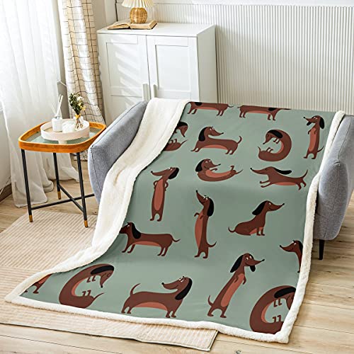 Loussiesd Dackel Decke 75x100cm Kinder Süße Wurst Hunde Wohndecke Karikatur Tier Kuscheldecke für Jungen Mädchen Zimmerdeko Welpe Dackel Liebhaber Flanell Fleecedecke von Loussiesd