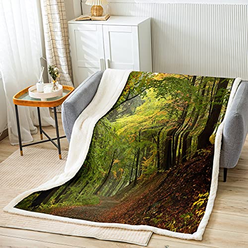 Loussiesd Decke 220x240cm Flanell Fleecedecke Wald Wild Tiefer Berg Natürlich Pflanze Grün Kuscheldecke für Jungen M?dchen Mikrofaser Wohndecke von Loussiesd