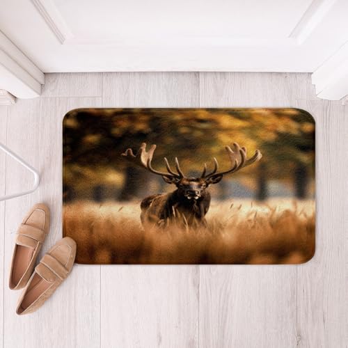 Loussiesd Elch Badematte 40x60cm Hirsch Jagd Badvorleger Geweih Wild Tier Rustic Lodge Cabin Badezimmerteppich Botanic Absorbierender Duschvorleger Anti-Rutsch Loussiesd Elch Badematte 40x60cm Hirsch Jagd Badvorleger Geweih Wild Tier Rustic Lodge Cabin Badezimmerteppich Botanic Absorbierender Duschvorleger Anti-Rutsch von Loussiesd
