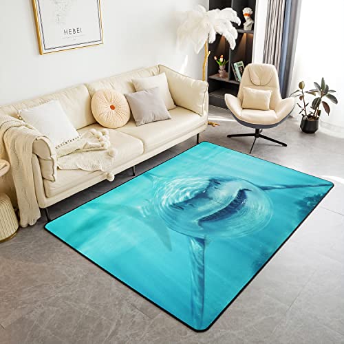 Loussiesd Hai Area Teppich Ozean Meer Tier Teppiche für Wohnzimmer Schlafzimmer Meer Unterwasserwelt Marine Thema Blau Wassertier Dekorativer Teppich 150 * 200 cm von Loussiesd