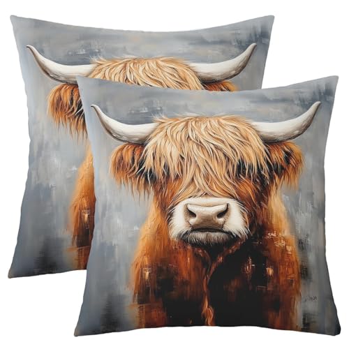 Loussiesd Hochlandkuh Kissenbezüge 45x45cm Zierkissenbezüge Hochlandrinder Sofakissen Couchkissen Tier Kissenbezug Wildtiere Dekokissen Zimmer Dekor Grau Orange Kissenhülle von Loussiesd