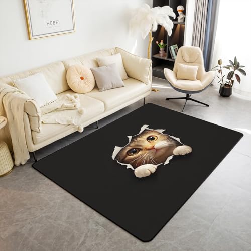 Loussiesd Katze Teppich 100x150cm 3D Tier Druck Modern Teppich Kinder Niedliche Katze Teppich Tier Haustier Wohnzimmerteppich für Junge Mädchen Teppich Orange Katze Outdoor Teppich Schwarz von Loussiesd