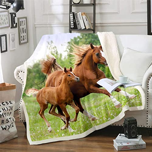 Loussiesd Mädchen Pferd Flanell Fleecedecke Galoppierendes Pferd Gedruckt Kuscheldecke für Sofa Couch 3D Wildtier Wohndecke Atmungsaktiv Bauernhaus Wildlife Style Fuzzy Decke 150x200cm Raumdekor von Loussiesd