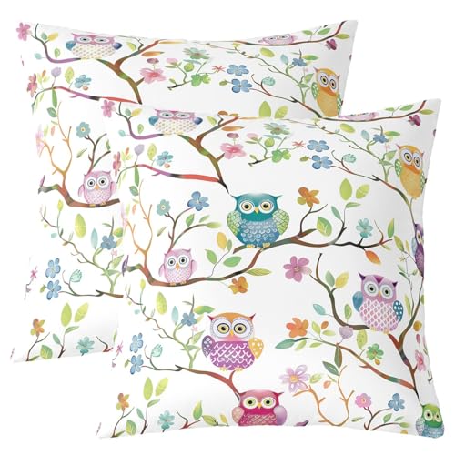 Loussiesd Nette Eule Kissenbezüge 50x50cm 2er Set Kissenbezüge Zwillingsgröße Tier Eule Floral Kissenhülle für Home Sofa Regenbogen Karikatur Eule Kissenhülle Botanische Weiche Dekokissen Loussiesd Nette Eule Kissenbezüge 50x50cm 2er Set Kissenbezüge Zwillingsgröße Tier Eule Floral Kissenhülle für Home Sofa Regenbogen Karikatur Eule Kissenhülle Botanische Weiche Dekokissen von Loussiesd