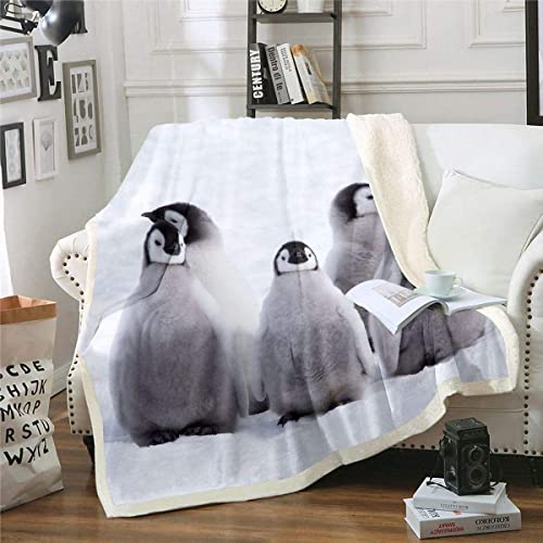 Loussiesd Pinguin Kuscheldecke für Schlafsofa Lustige Tierdruck Fuzzy Decke Niedliche Polartier-Sherpa-Wurfdecke Natur-Thema Wohndecke 150x200cm Pinguin Druck Decke Grau Weiß von Loussiesd