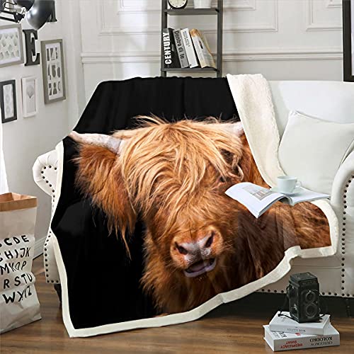 Loussiesd Sherpa-Decke mit Highland-Kuh-Motiv, Langhornrind, Fleece, Überwurfdecke für Kinder, Jungen, Mädchen, Westerntiere, flauschige Decke für Sofa, Bett, Bauernhof, Doppelbett, 152 x 200 cm Loussiesd Sherpa-Decke mit Highland-Kuh-Motiv, Langhornrind, Fleece, Überwurfdecke für Kinder, Jungen, Mädchen, Westerntiere, flauschige Decke für Sofa, Bett, Bauernhof, Doppelbett, 152 x 200 cm von Loussiesd
