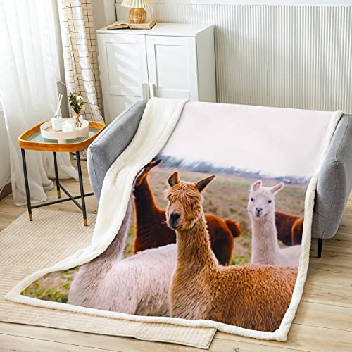 Loussiesd Tierthema Decke 130x150cm 3D Lama Alpaka Drucken Kinder Jugend Kuscheldecke Ultra weich Mikrofaser Argentinien Tiere Natur Wohndecke Lama Muster Dekorativ Flanell Fleecedecke von Loussiesd