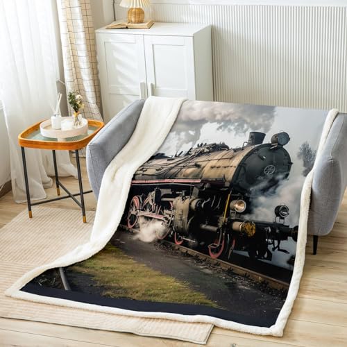 Loussiesd Zug Flanell Fleecedecke Retro Dampfmaschine Decke 130x150cm Jungen Mädchen Eisenbahn Track Transport Kuscheldecke für Sofa Grünes Gras Wohndecke von Loussiesd