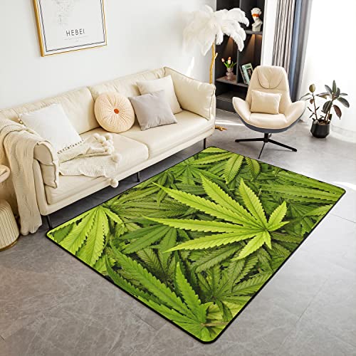 Marihuana Weed Weich Teppich 150x200cm Wohnzimmer Teppich für Küche und Balkon Kinder Grün Cannabis Blätter Modern Teppich Indoor Home Wetterfest Eintrag Teppich Mattes Front Teppich Indoor Matte Marihuana Weed Weich Teppich 150x200cm Wohnzimmer Teppich für Küche und Balkon Kinder Grün Cannabis Blätter Modern Teppich Indoor Home Wetterfest Eintrag Teppich Mattes Front Teppich Indoor Matte von Loussiesd