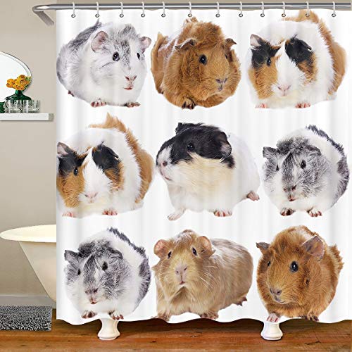 Meerschweinchen Zubeh?r Mit Haken Kleinkind Niedlich Cavy Wasserdichtes Duschvorhang Textil Jungen Karikatur Haustier Stoff Duschvorhang 180x180cm Sch?NES Tier Dekor von Loussiesd