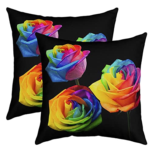 Rose Kissenbezüge 60x60cm 2er Set Kissenbezüge Weich Kinder Rose Blumen Blume Dekorative Sofakissen Couchkissen Garden Blume Kissenbezug Kissenhülle Valentinstag Bunt Dekokissens von Loussiesd