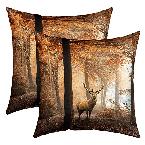 Wald Hirsch Kissenbezug Braun Elch Dekokissen 40x40cm für Sofa Schlafzimmer Deko Natur Wald Tiermotiv 2er Set Kissenbezüge Hirsch Kissenbezug von Loussiesd