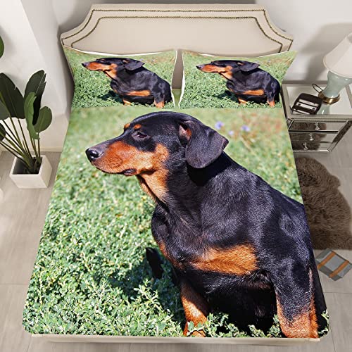 Wurst Hund Spannbettlaken 90x200cm Süßer Dackel Bettlaken Set Erwachsene Haustier Hund Spannbetttuch Hippie Welpe 3D Tierthema Kein flaches Blatt Hundeliebhaber 2St Mit 1 Kissenbezug von Loussiesd