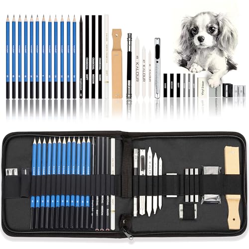 KALOUR 33-teiliges Profi-Zeichen-Set mit Skizzierstiften, tragbarer Reißverschluss-Reisetasche - Kohlestifte, Zeichenstifte, Radiergummi. Kunstbedarf für Künstler, Anfänger und Erwachsene von KALOUR