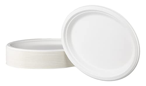 Love Nature Einwegteller 50 Stück - Einweg Teller Oval 32 cm aus Zuckerrohr - Pappteller Einweggeschirr - Partyteller Einweg Stabil zum Geburtstag, Grillabende und Picknicks von Love Nature