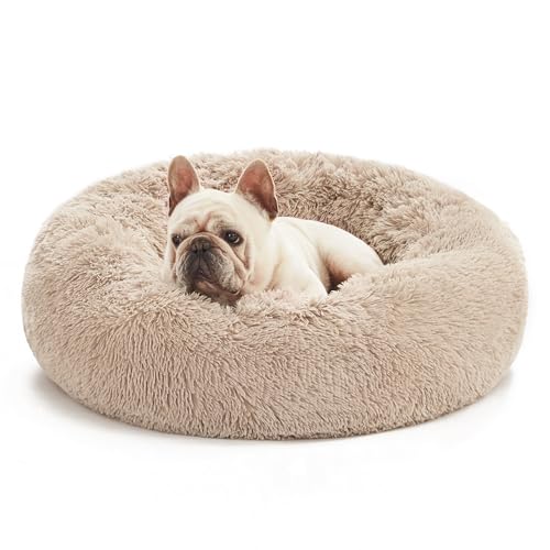 Love's cabin Hundebett mittelgroße kleine Hunde flauschig rund donut 60cm - Hundekissen waschbar mit rutschfest Unterseite Hundekorb Hundebetten - Hunde Bett Katzenbett für Gelenkentlastung und Schlaf von Love's cabin