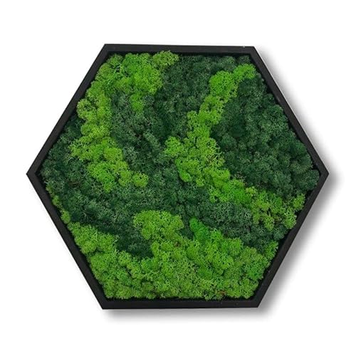 LoveLasy Bicolor Moos Wandbild Hexagon für Haus und Büro, Moosbild (Black frame, middle) LoveLasy Bicolor Moos Wandbild Hexagon für Haus und Büro, Moosbild (Black frame, middle) von LoveLasy