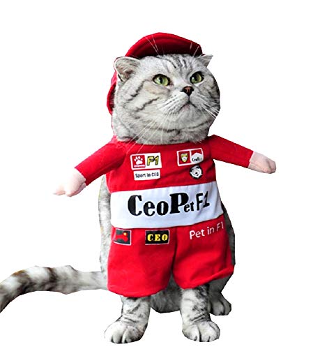 LoveLegis Kostüm Formel 1 - Rennfahrer - Läufer - Ricciardo - Perez - Verstappen - Schumacker - Katze - L - Geschenkidee für Weihnachten und Geburtstag von LoveLegis