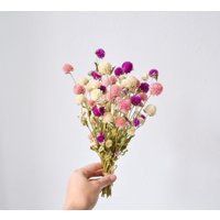 Getrocknete Rosa Blumen, Kugelamaranth, Lila Gomphrena, Wildblumen Blumenschmuck, Blume Für Kerze, Handwerk Diy, Boho Dekor Getrocknete Rosa Blumen, Kugelamaranth, Lila Gomphrena, Wildblumen Blumenschmuck, Blume Für Kerze, Handwerk Diy, Boho Dekor von LovelyFlowerUA