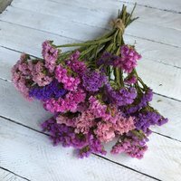 Getrockneter Statice-Blumenstrauß, Rosa Limonium-Trockenblumenstrauß, Konserviertes Blumenarrangement, Geschenk Für Frau, Wohndekor, Hochzeitsstrauß Getrockneter Statice-Blumenstrauß, Rosa Limonium-Trockenblumenstrauß, Konserviertes Blumenarrangement, Geschenk Für Frau, Wohndekor, Hochzeitsstrauß von LovelyFlowerUA