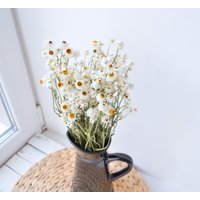 Trockenblumenarrangement, Weiße Ammobium-Blumensträuße, Gänseblümchenblume, Wildblumenstrauß, Kleine Trockenblumen, Hochzeitsblumenarrangement Trockenblumenarrangement, Weiße Ammobium-Blumensträuße, Gänseblümchenblume, Wildblumenstrauß, Kleine Trockenblumen, Hochzeitsblumenarrangement von LovelyFlowerUA