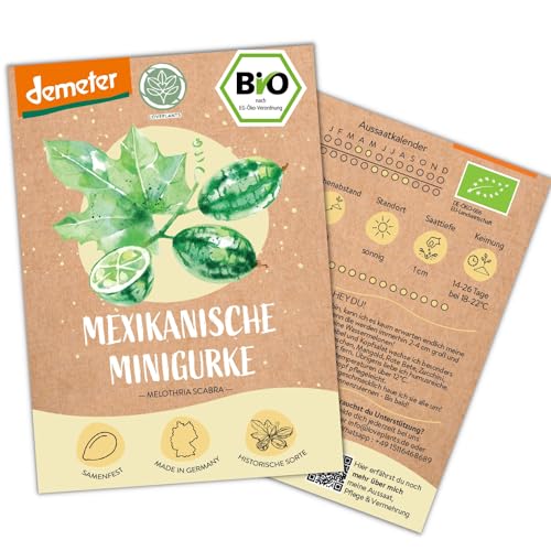 BIO Mexikanische Minigurken Samen, 10 Snackgurken Samen, hohe Keimrate, Demeter zertifiziert & samenfest | Gemüse Saatgut von LOVEPLANTS, für Balkon, Garten, Hochbeet – alte Gemüsesorten von Loveplants